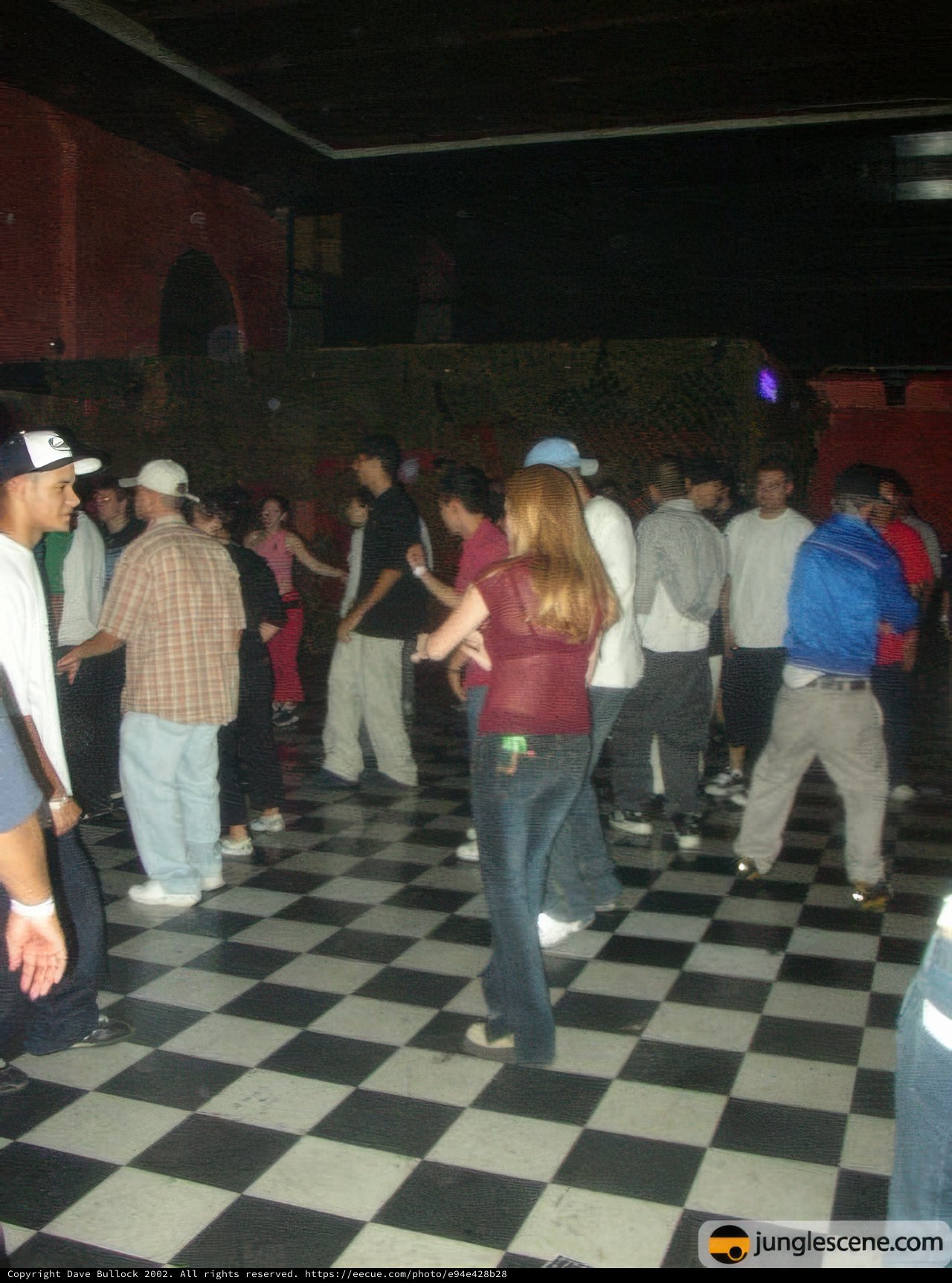 Night Club Crowd Dancing