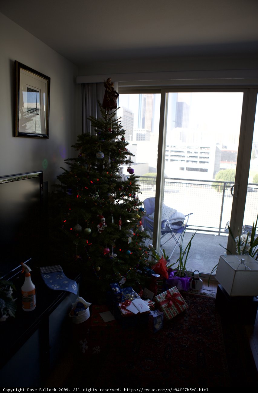 Festive Fir and Electronic Gifts
