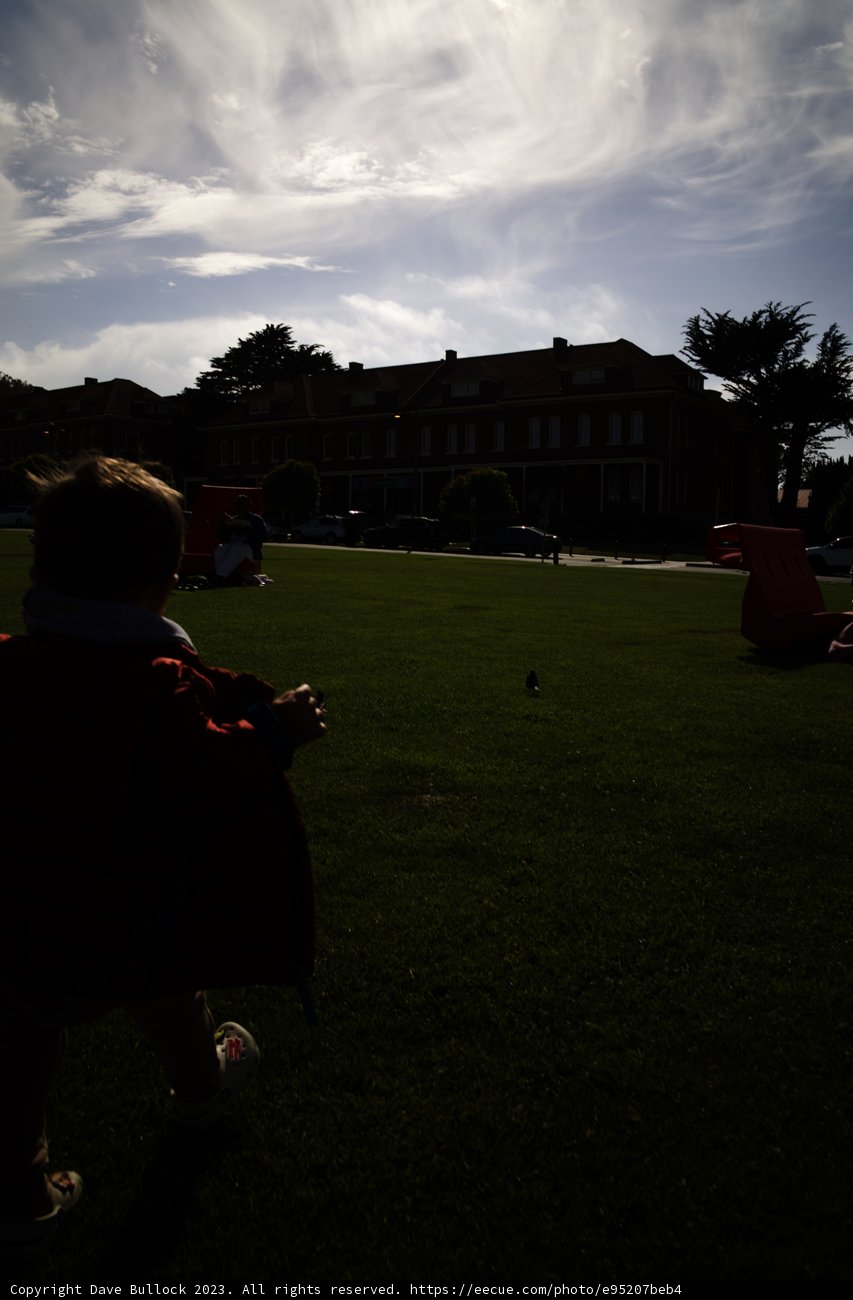 Unfettered Joy - A Summer Afternoon