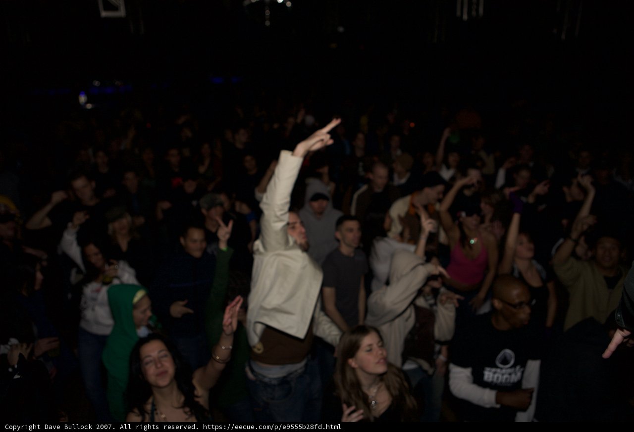 The Ultimate Party Experience