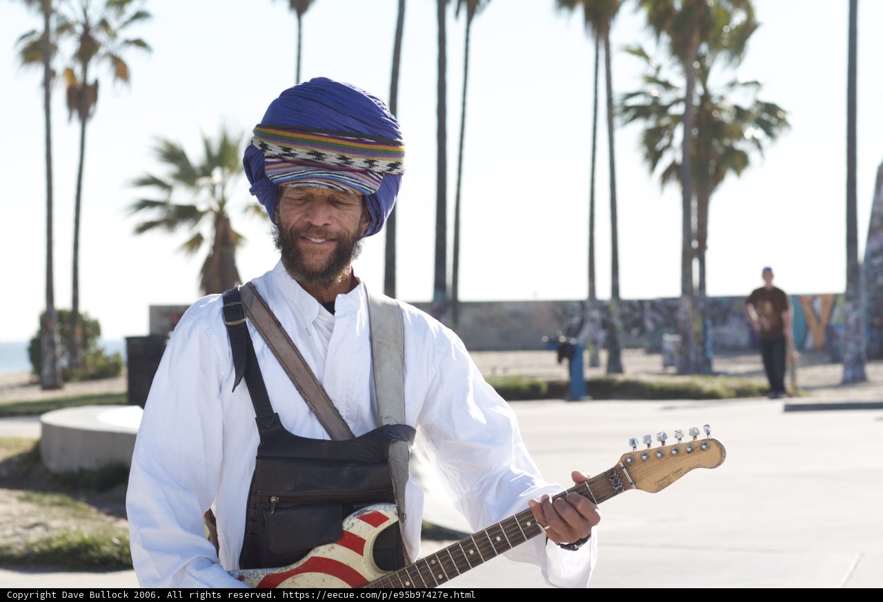 Turbaned Guitarist Serenading under the Palms