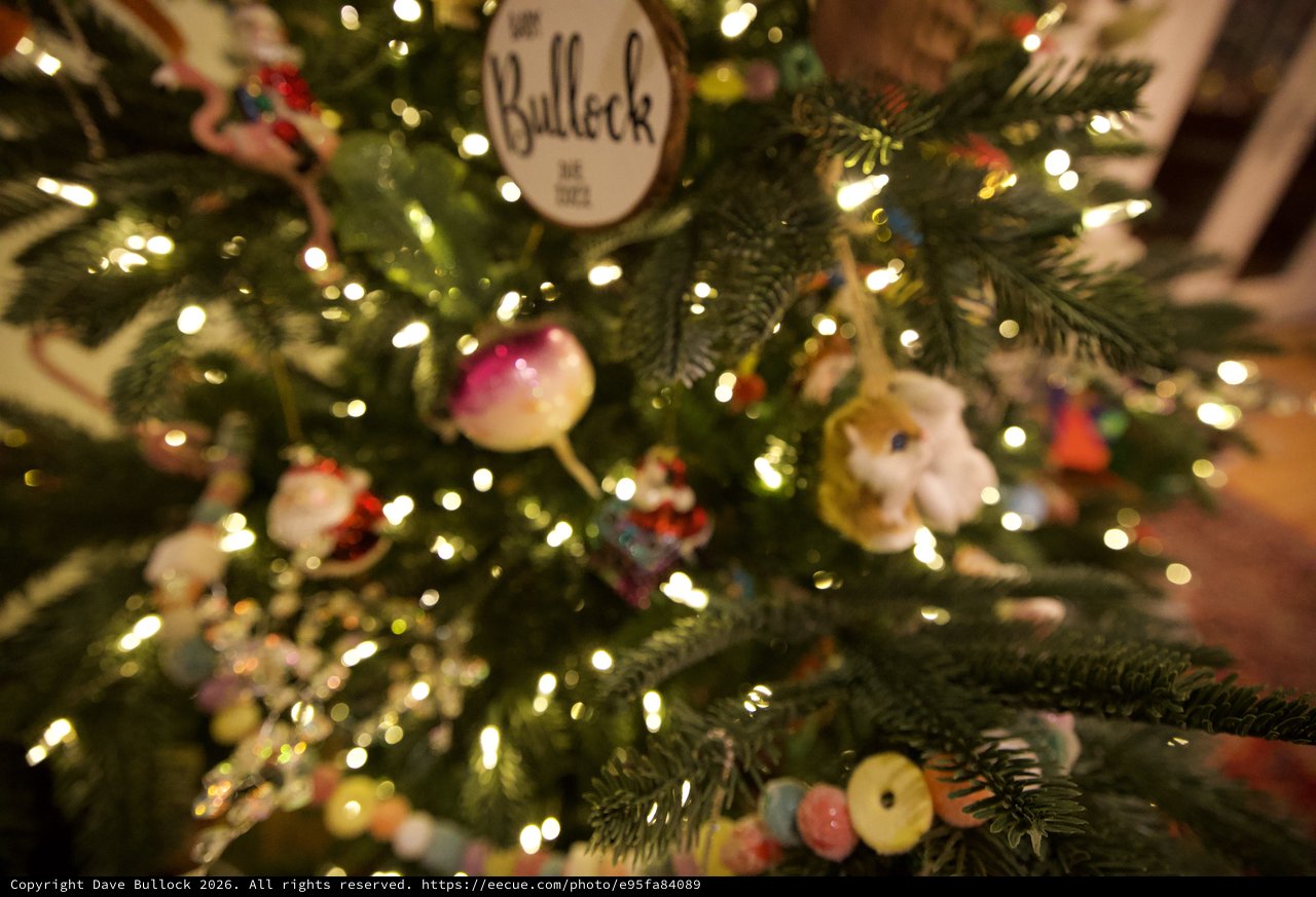 Personalized Bullock Family Christmas Tree with Ornaments and Lights
