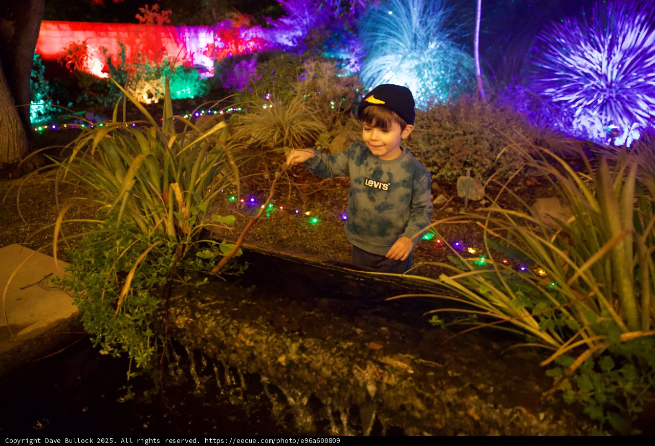 Enchanted Evening in the Garden