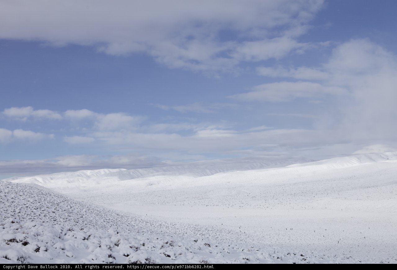 Majestic winter wonderland
