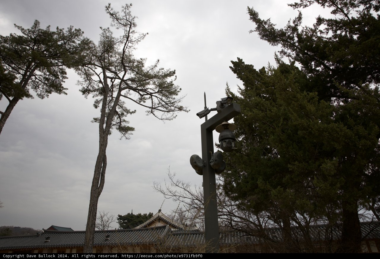 Solitary Illumination Amidst Nature