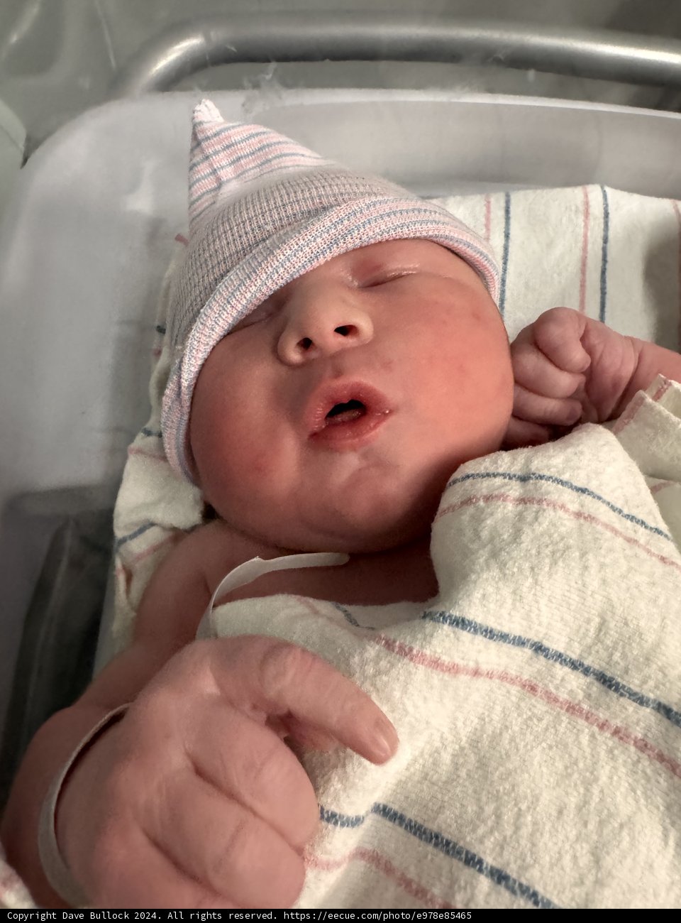 Welcome to the World, Leland