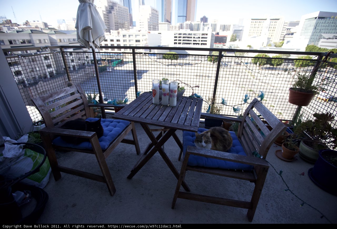 Balcony Oasis