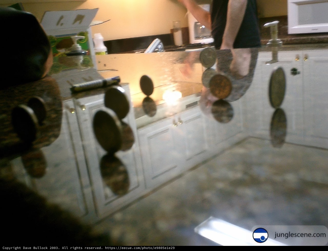 Coins on the Kitchen Counter