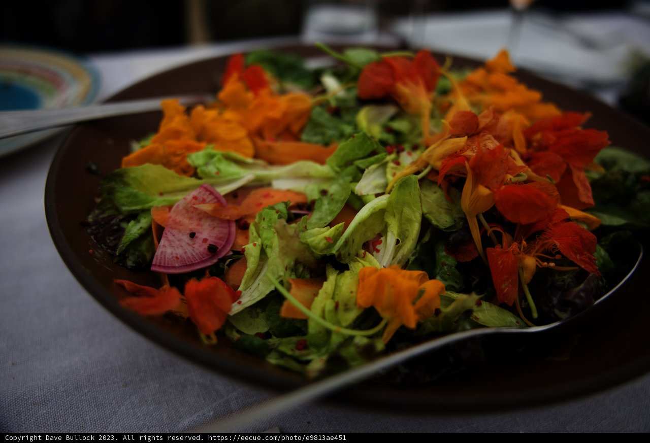 Vibrant Pescadero Salad at Secret Beach