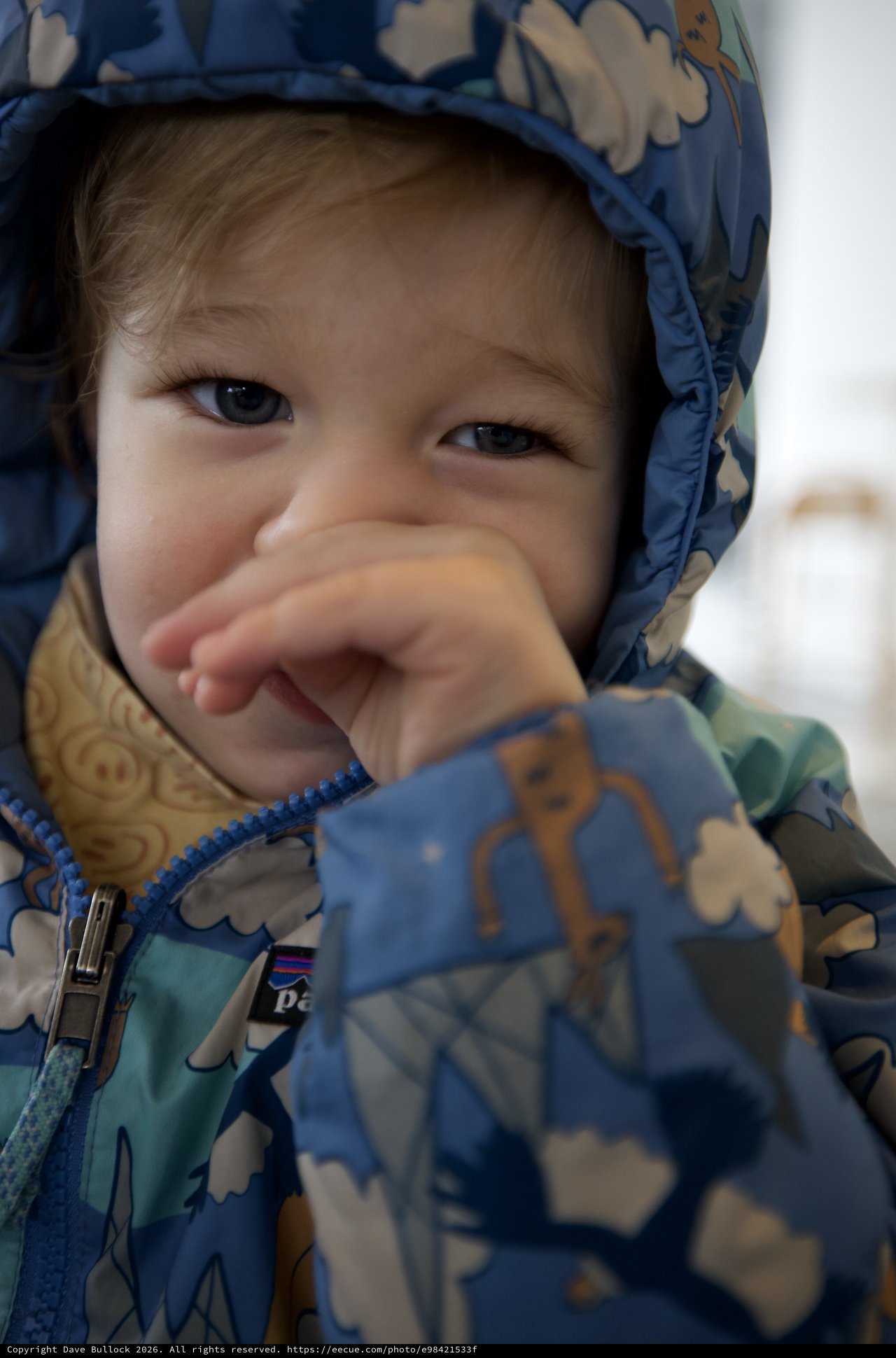 Adorable Toddler in Blue Patterned Winter Hood