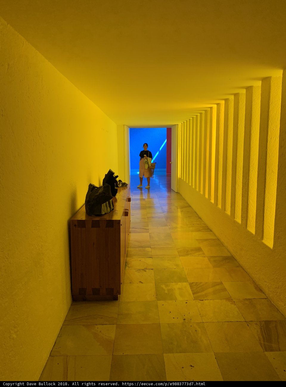 Illuminated Pathway