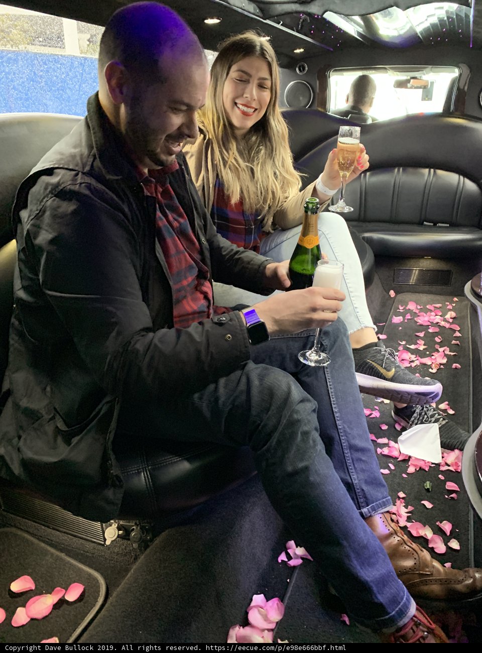 A Night of Luxury