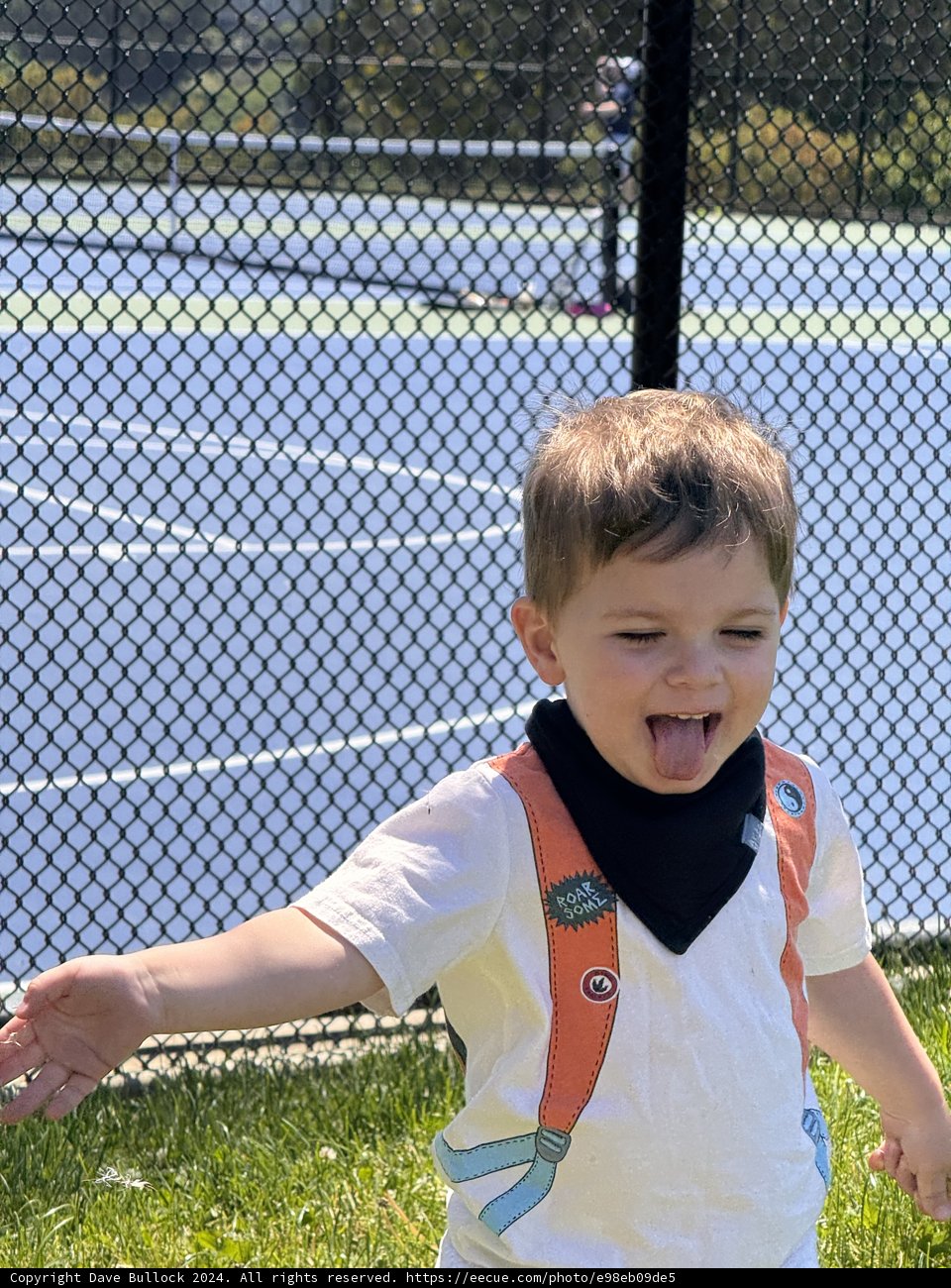 Playful Moments at the Park