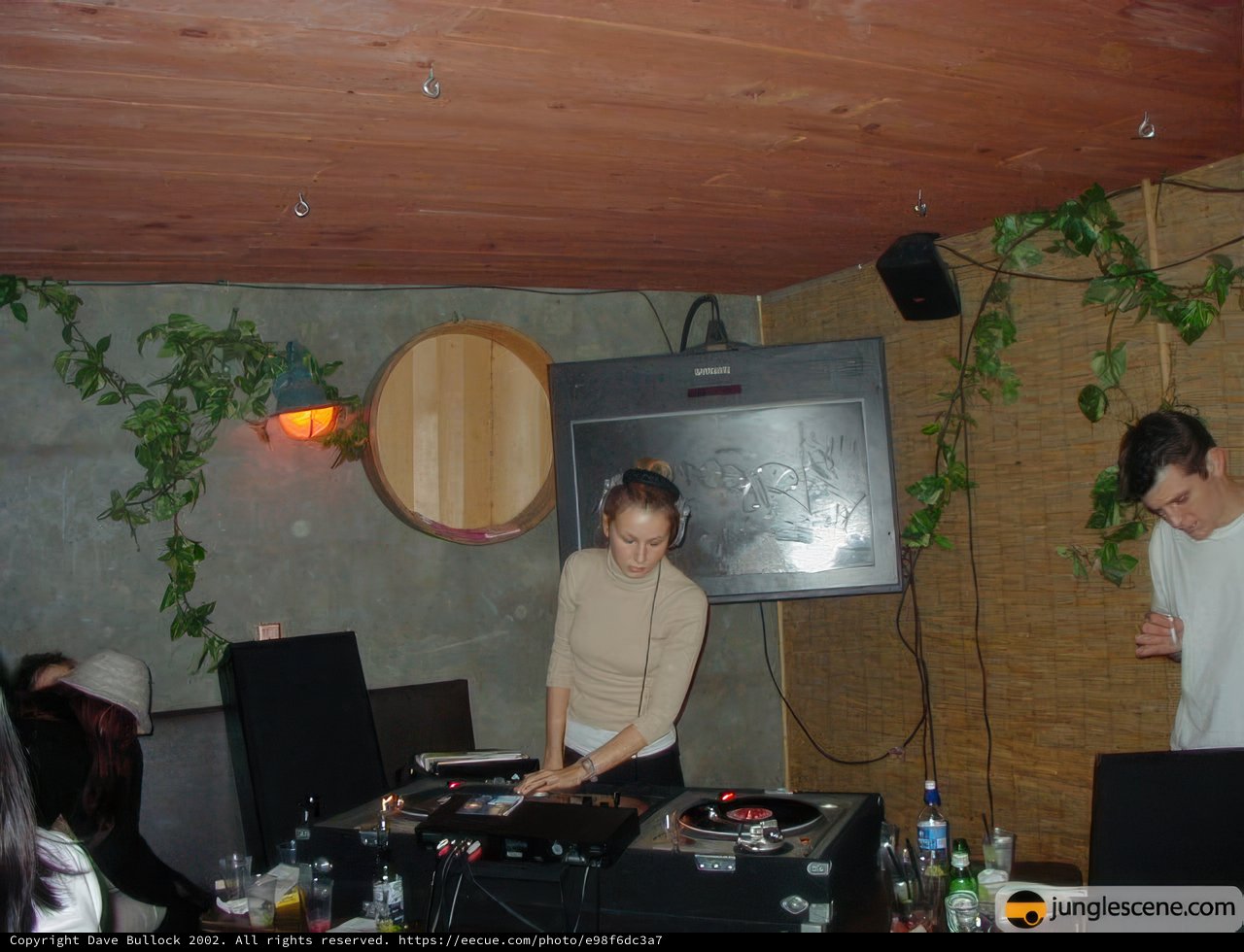 Music lovers at the party