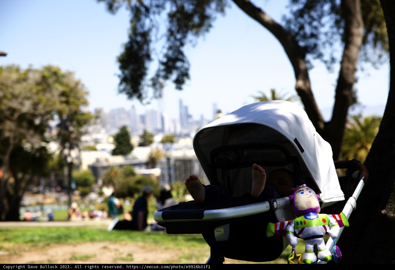An Unusual Stroller Trip in Delores Park, 2023