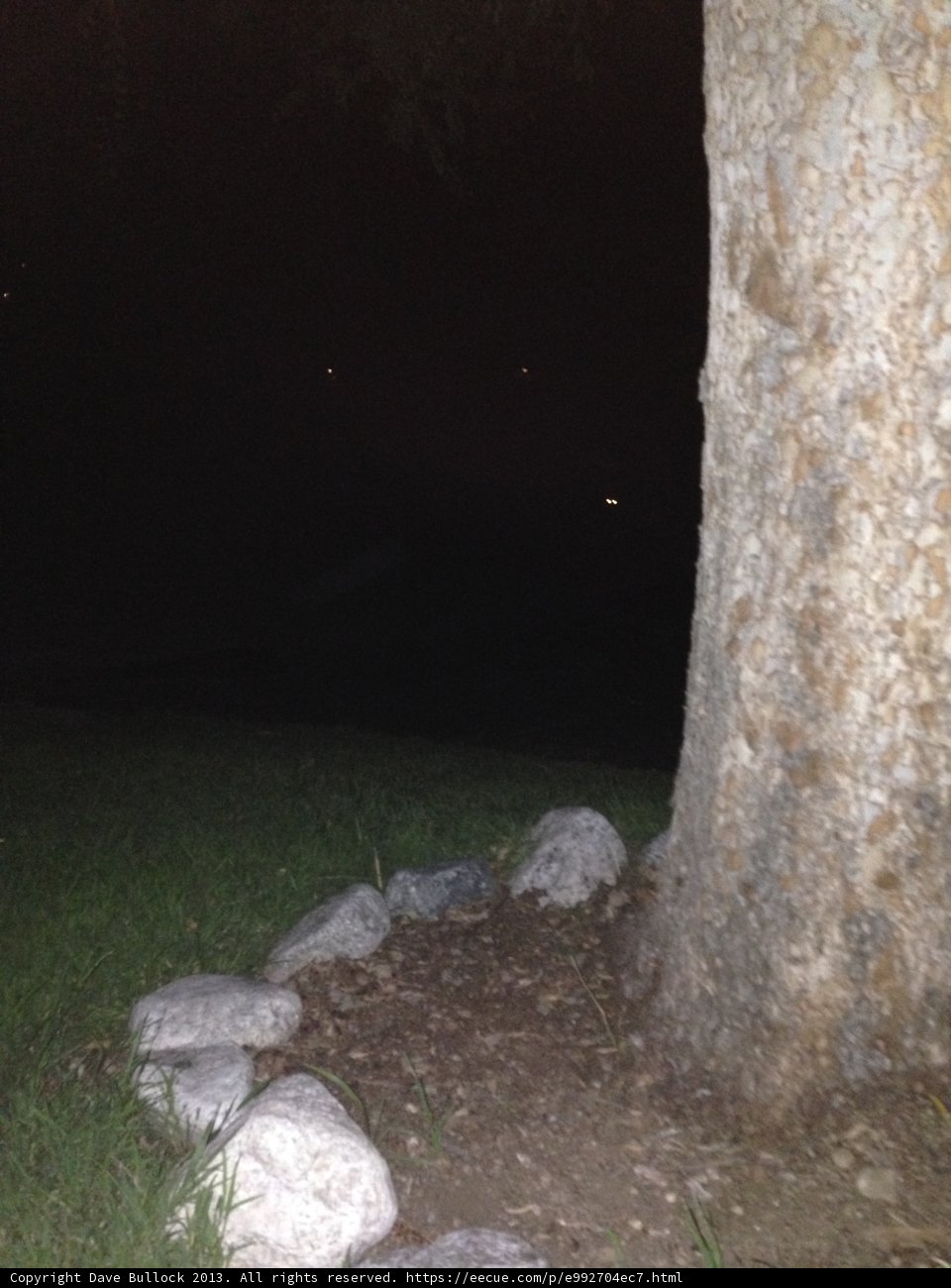 Lone Tree in the Rock Garden