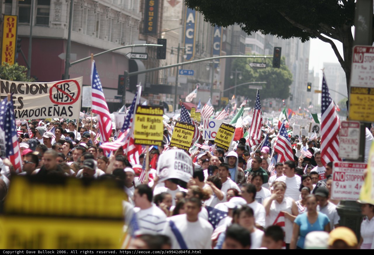 Patriotic Protesters