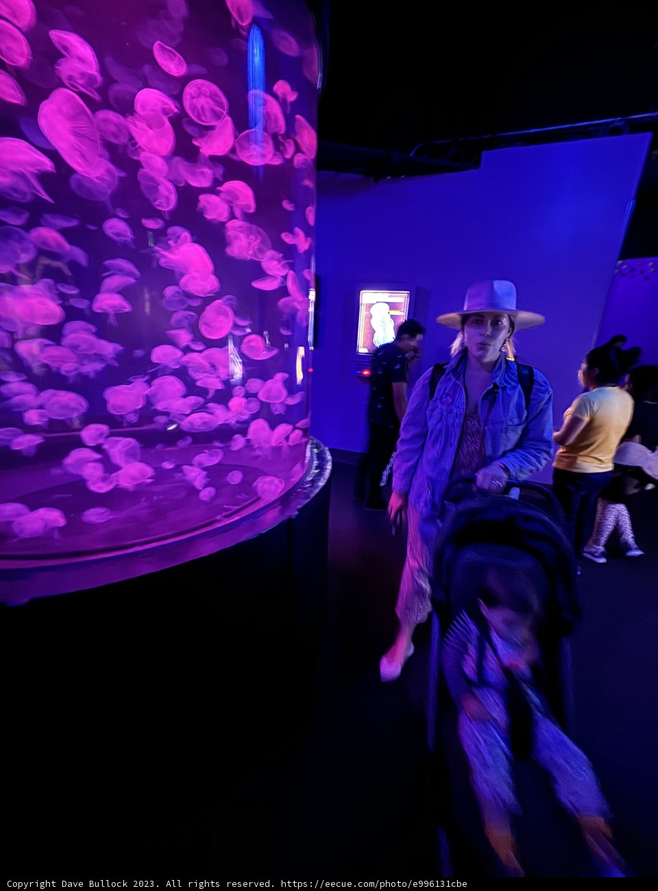 An Enthralling Journey Through the Deep Sea