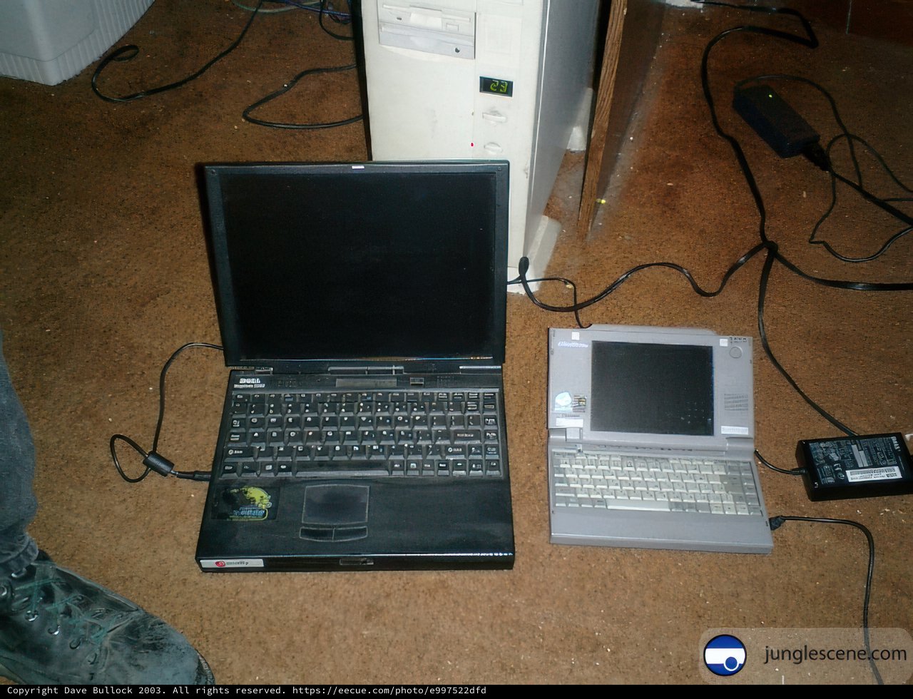 The Dynamic Duo of Desktop and Laptop