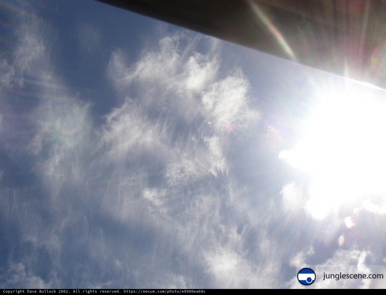 A Sky Full of Sunshine