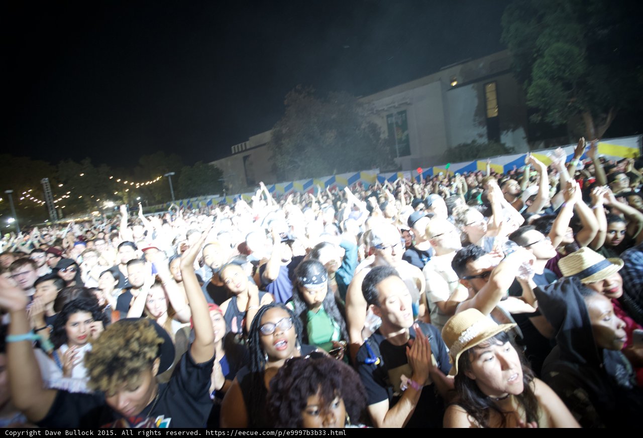 FYF Fest Crowd Portrait Arms Raised Flash Lit Woman Glasses Red Headband Straw Hat Night