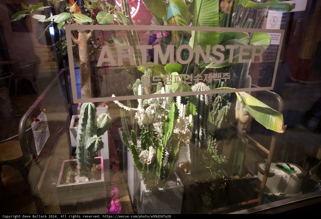 Floral Magic in Korea