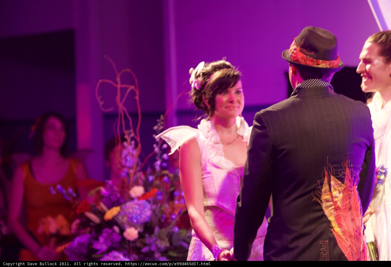The Newlyweds with their Bridal Party in Purple