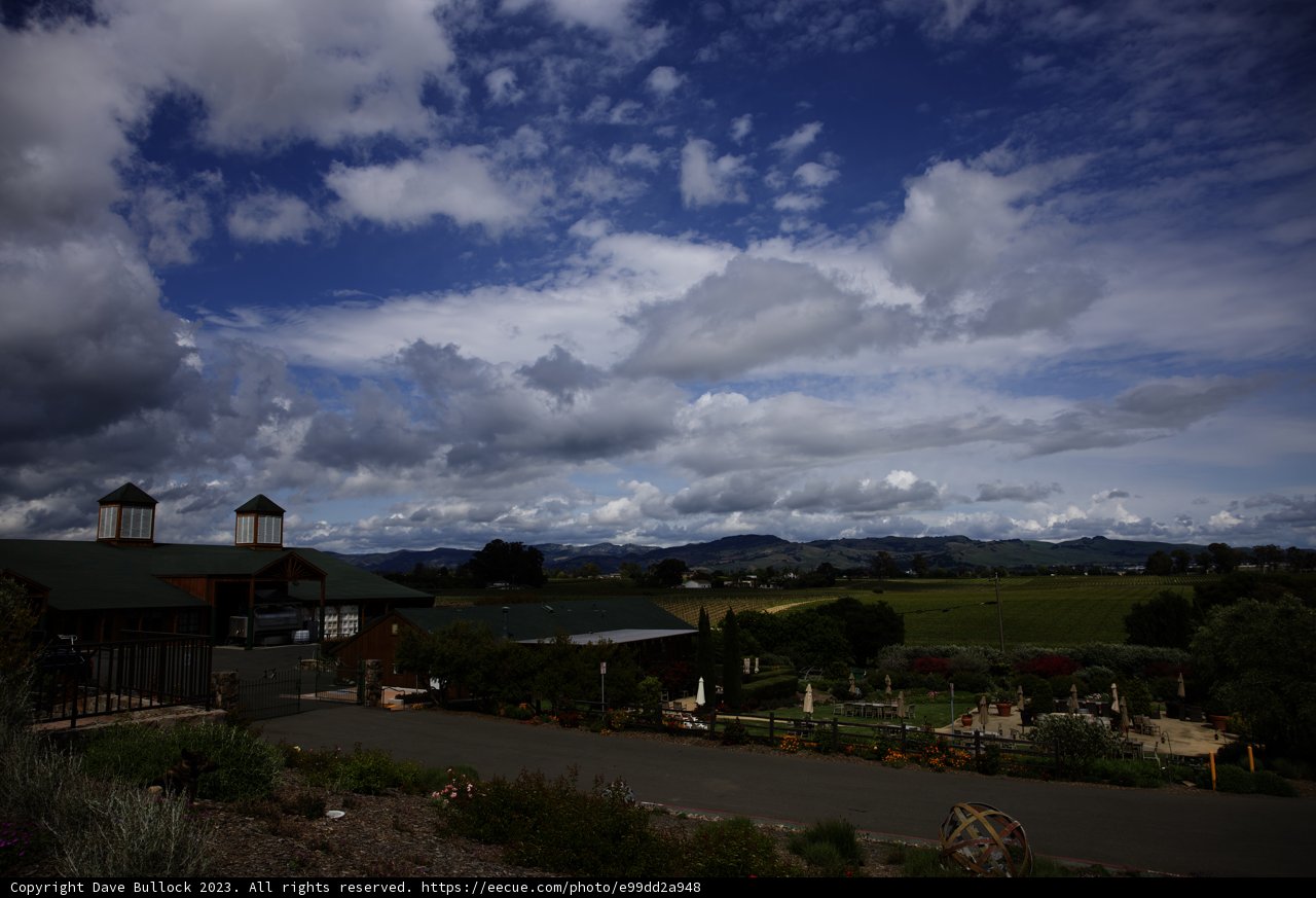 Majestic Clock Tower at Bouchaine Vineyards & Winery