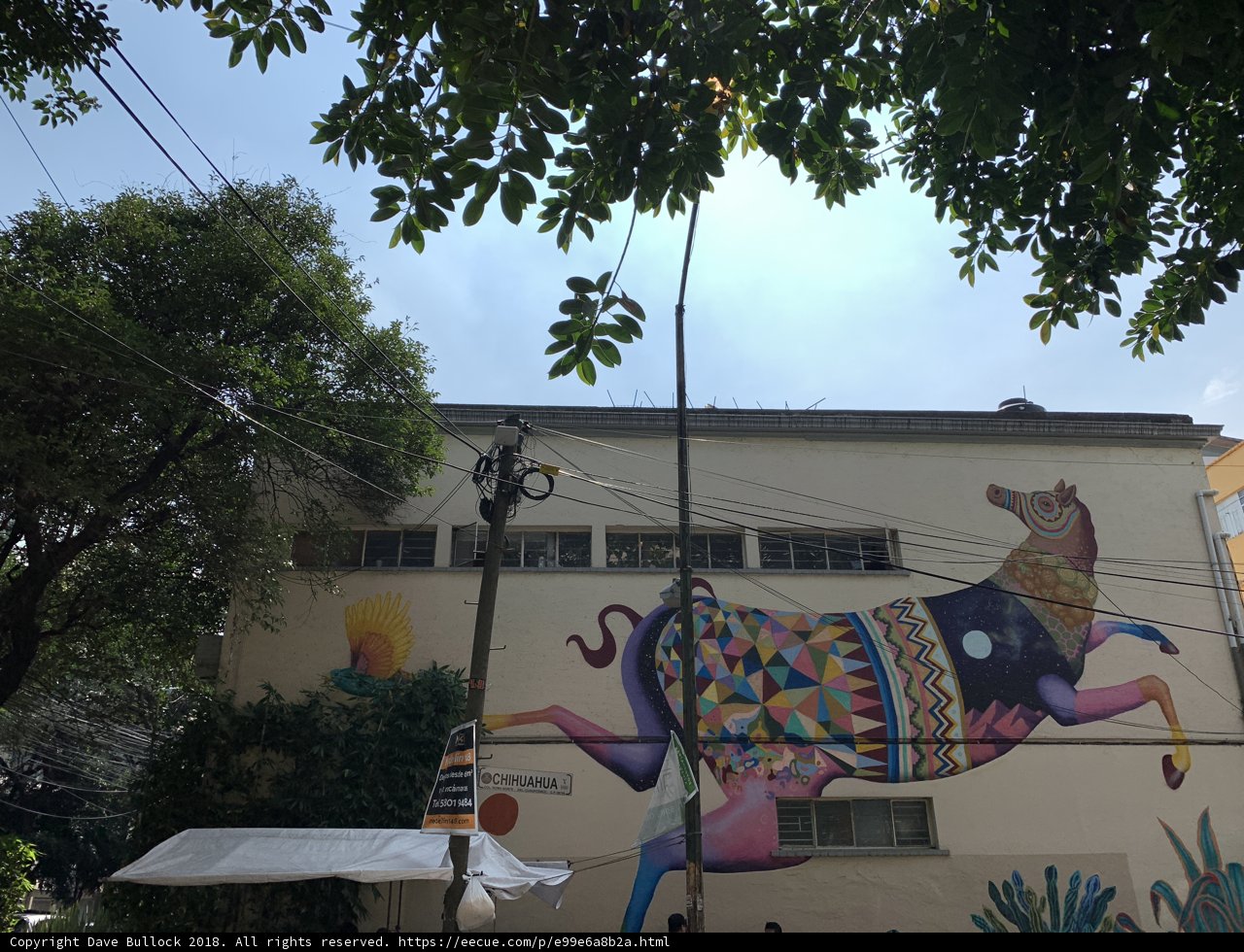 Colorful Mural Brightens Up the Cityscape