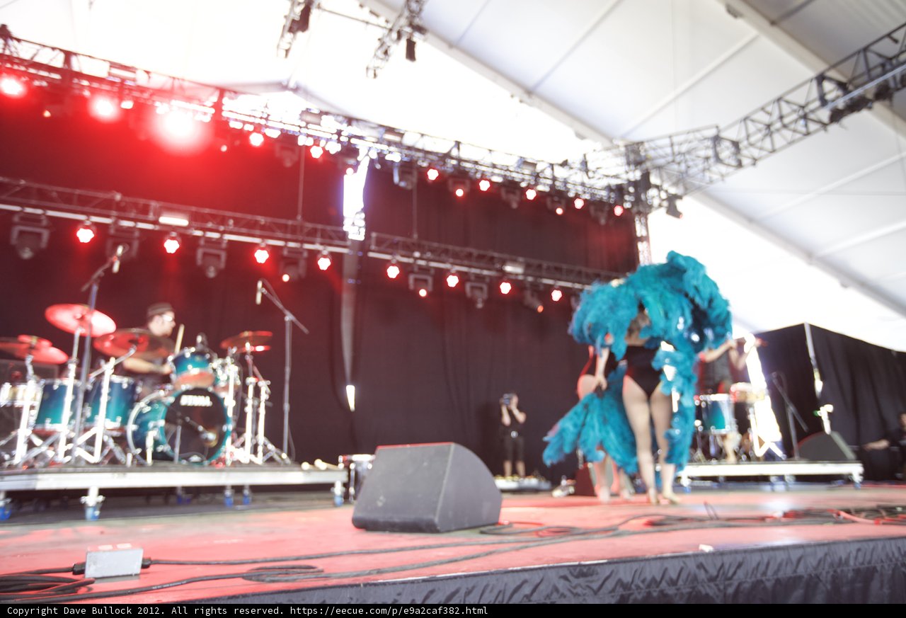 Feathered Performer Takes Center Stage