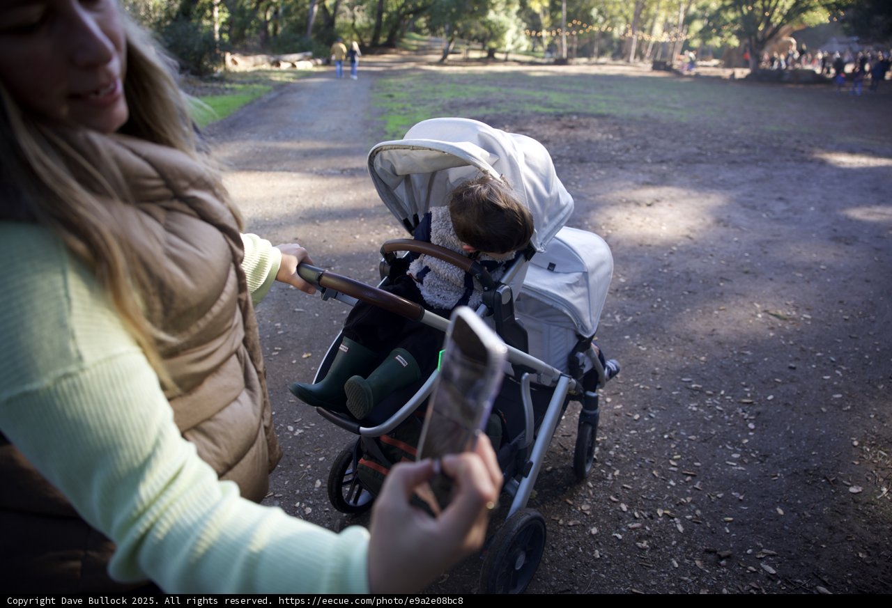 Autumn Stroll in Thistlewyck