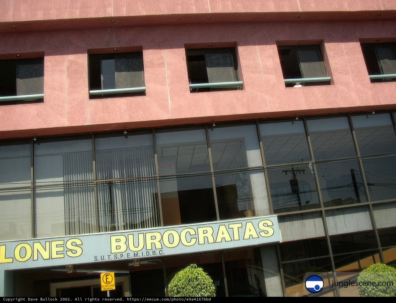 Pink Office Building in Ensenada