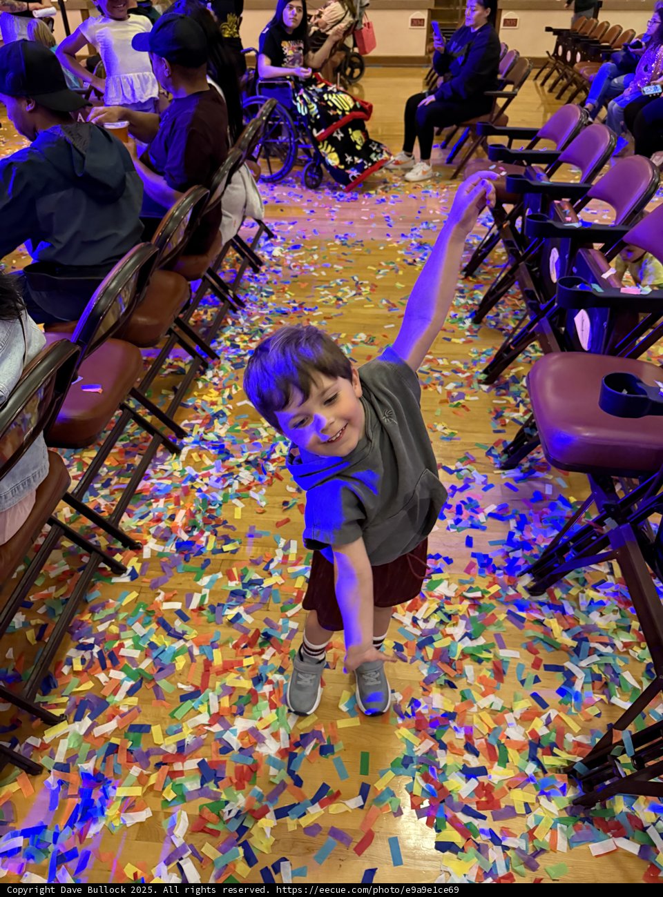 Confetti Dreams