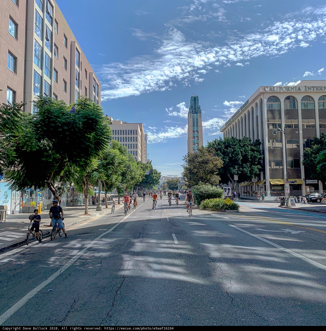 City Streets in Motion