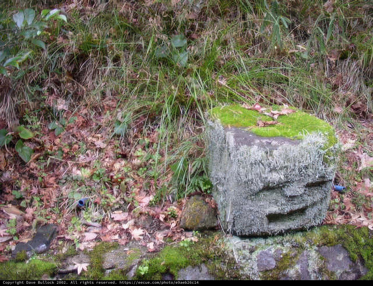Stone Face in the Wilderness