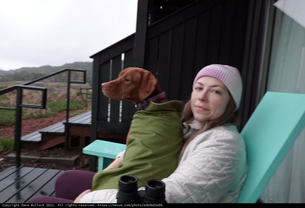 Woman and Dog Relaxing on Mountain Deck