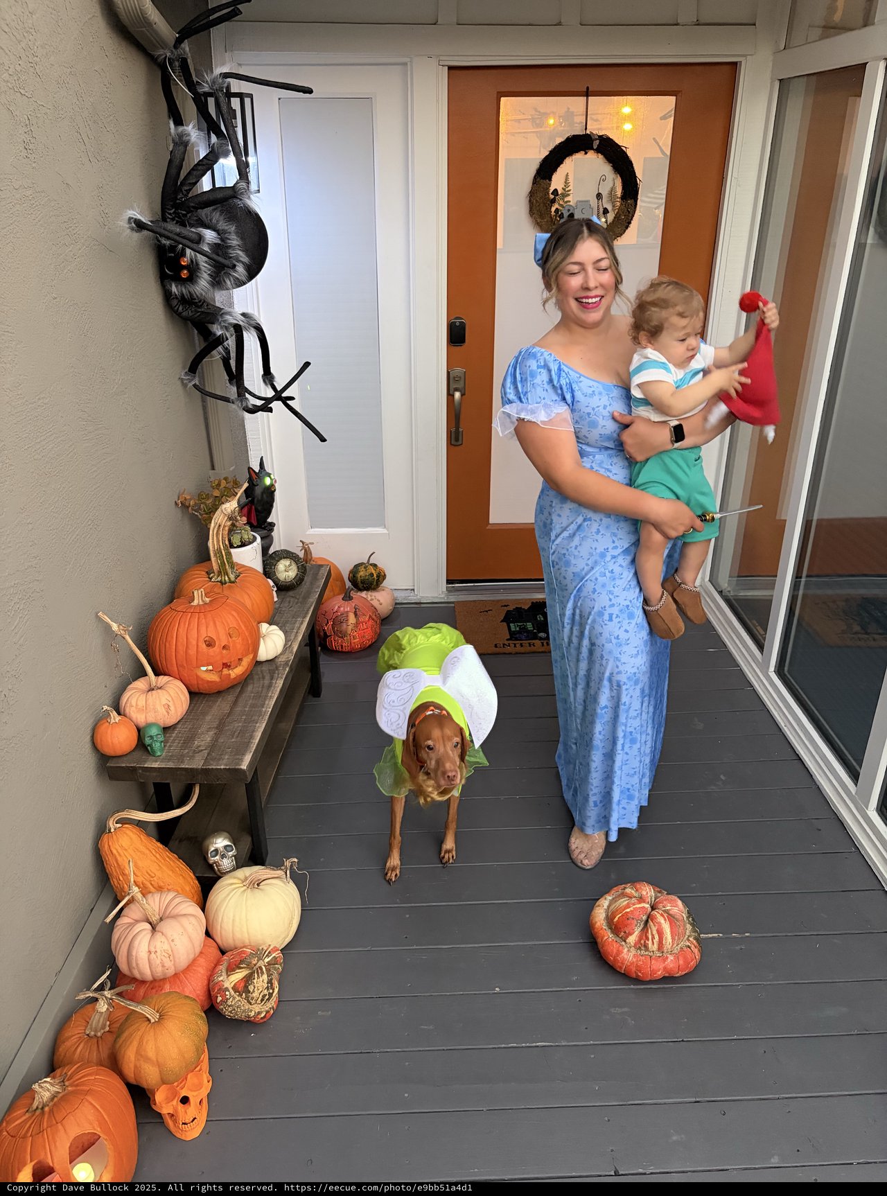 Halloween Porch with Family and Decorated Dog