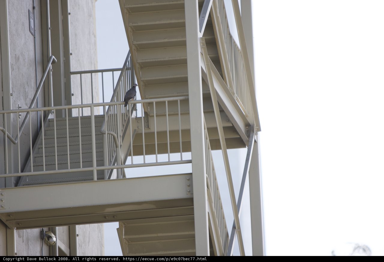Ascending into Urban Architecture