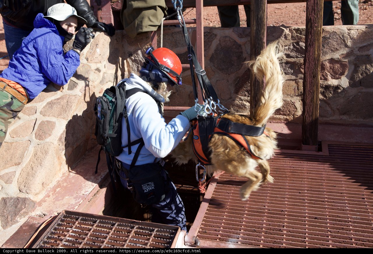 Mine Rescue Mission: Man and His Canine Companion