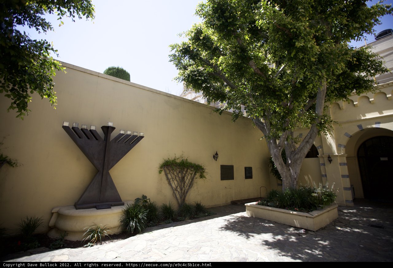 Serenity in the Courtyard