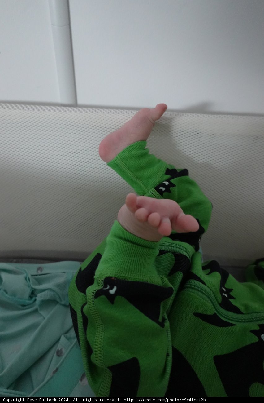 Tiny Toes and Gentle Touches