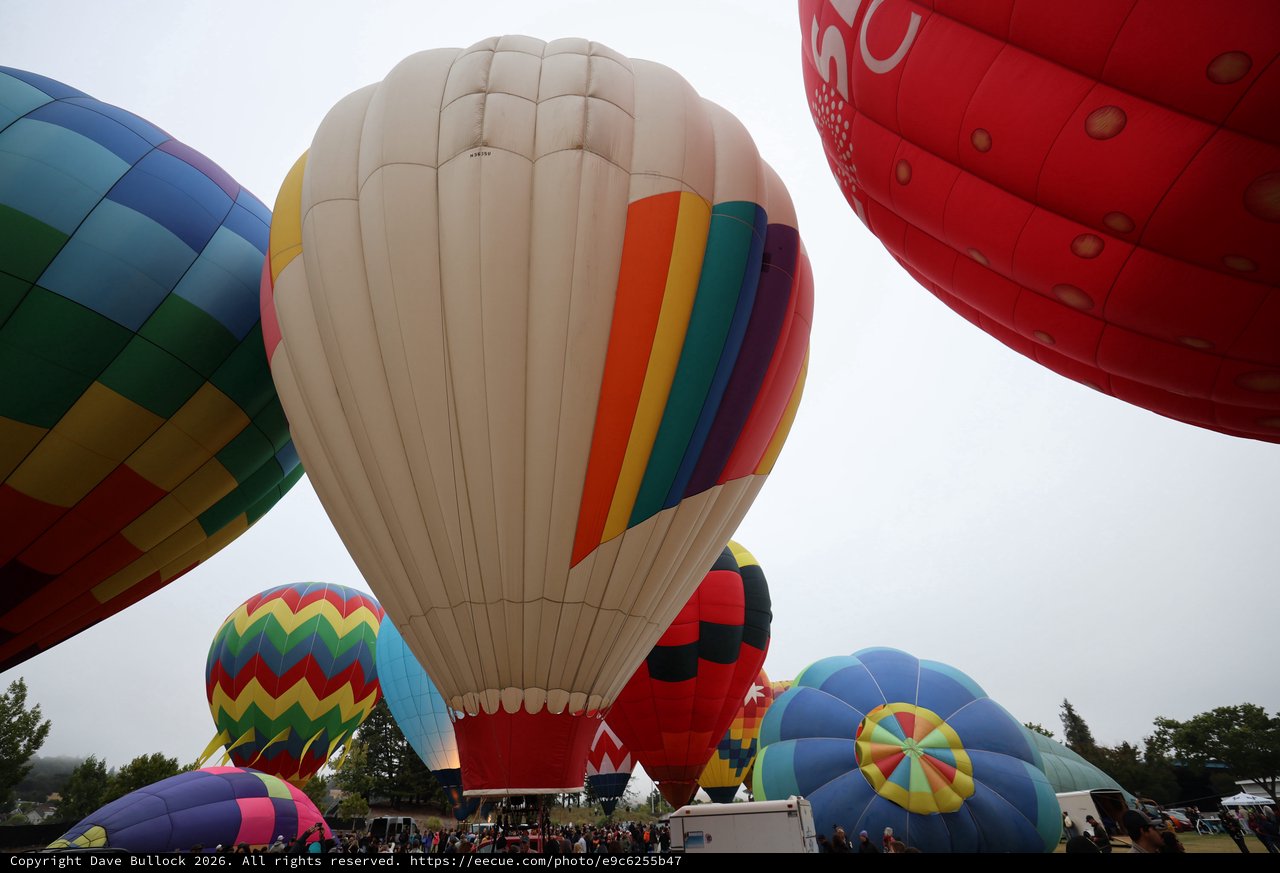 Colorful Hot Air Balloons Rising at Sonoma Classic