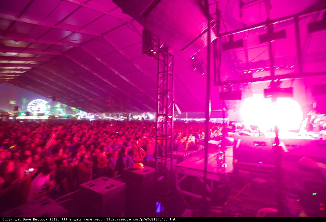Purple Haze at Coachella