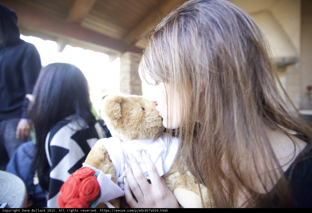 Teddy Love