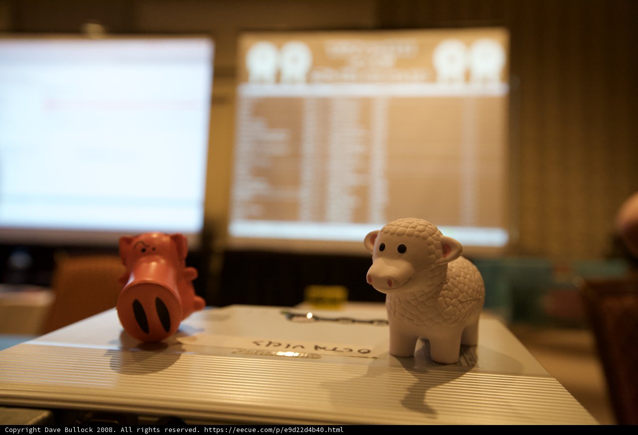 Piggy Bank Duo