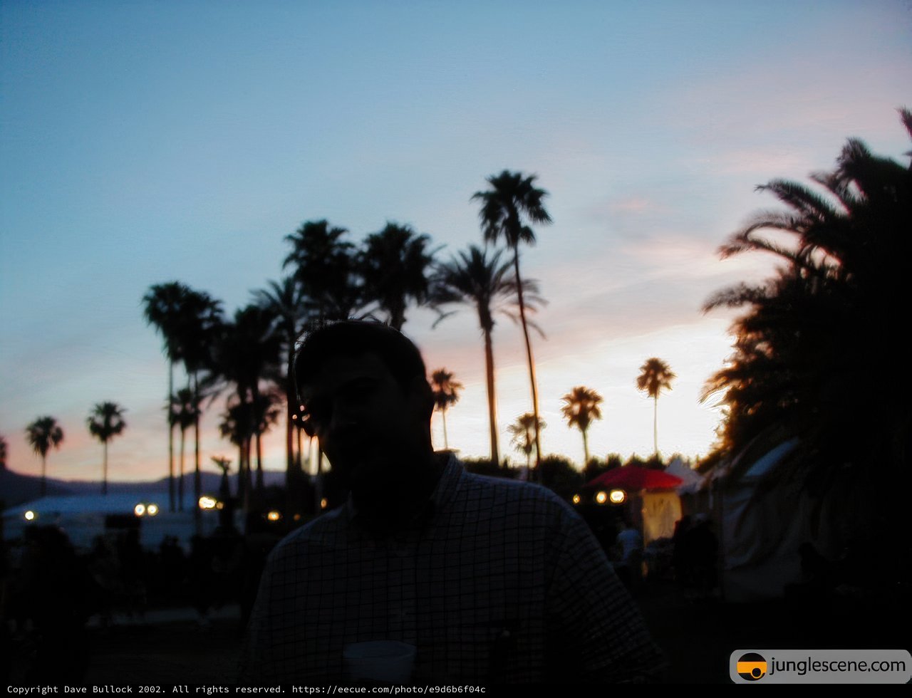 Silhouette of a man standing in front of palm trees at sunset