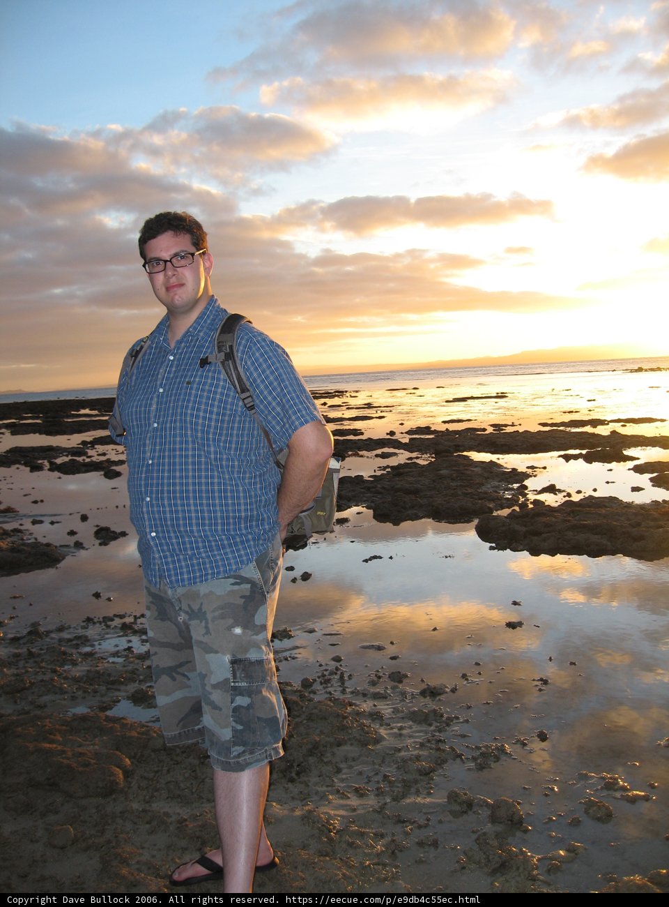 Sunset Serenade by the Shoreline
