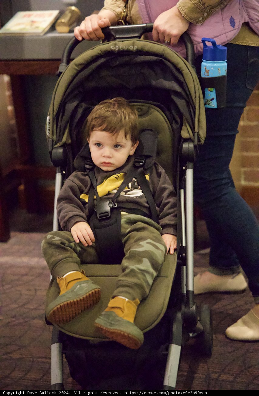 The Joy of Parenthood in Pictures