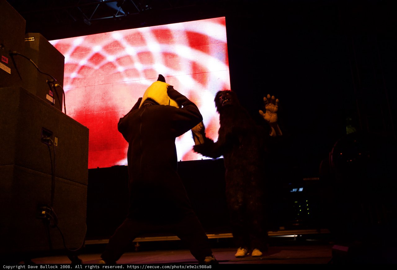 Dynamic Duo Takes the Stage at 2008 Coachella