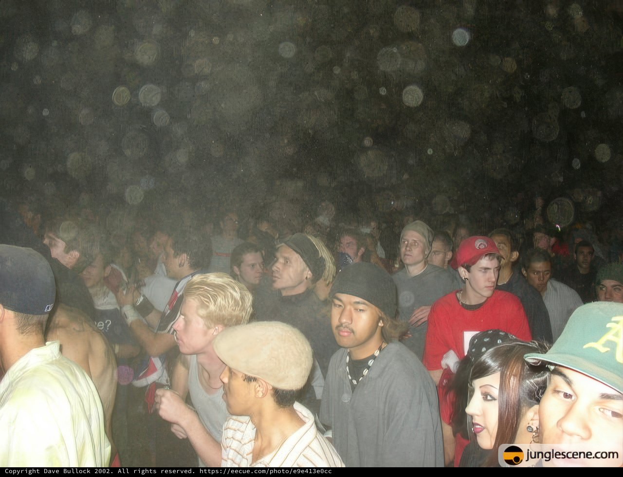 Dark Nightclub Party Crowd